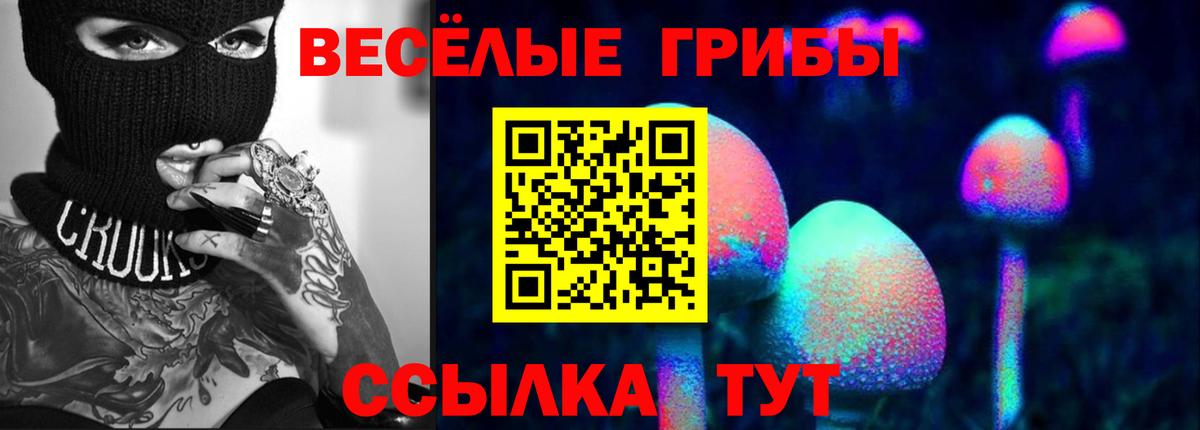 Псилоцибиновые грибы прущие грибы Дербент
